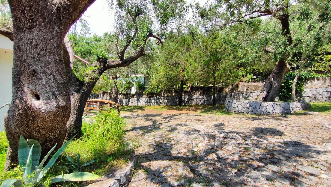 Villa Irma Marina di Camerota Esterno foto