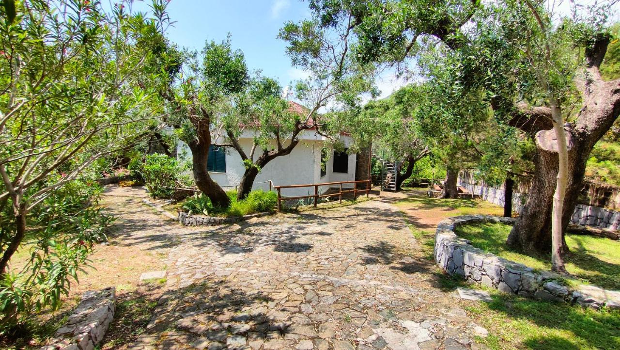 Villa Irma Marina di Camerota Esterno foto