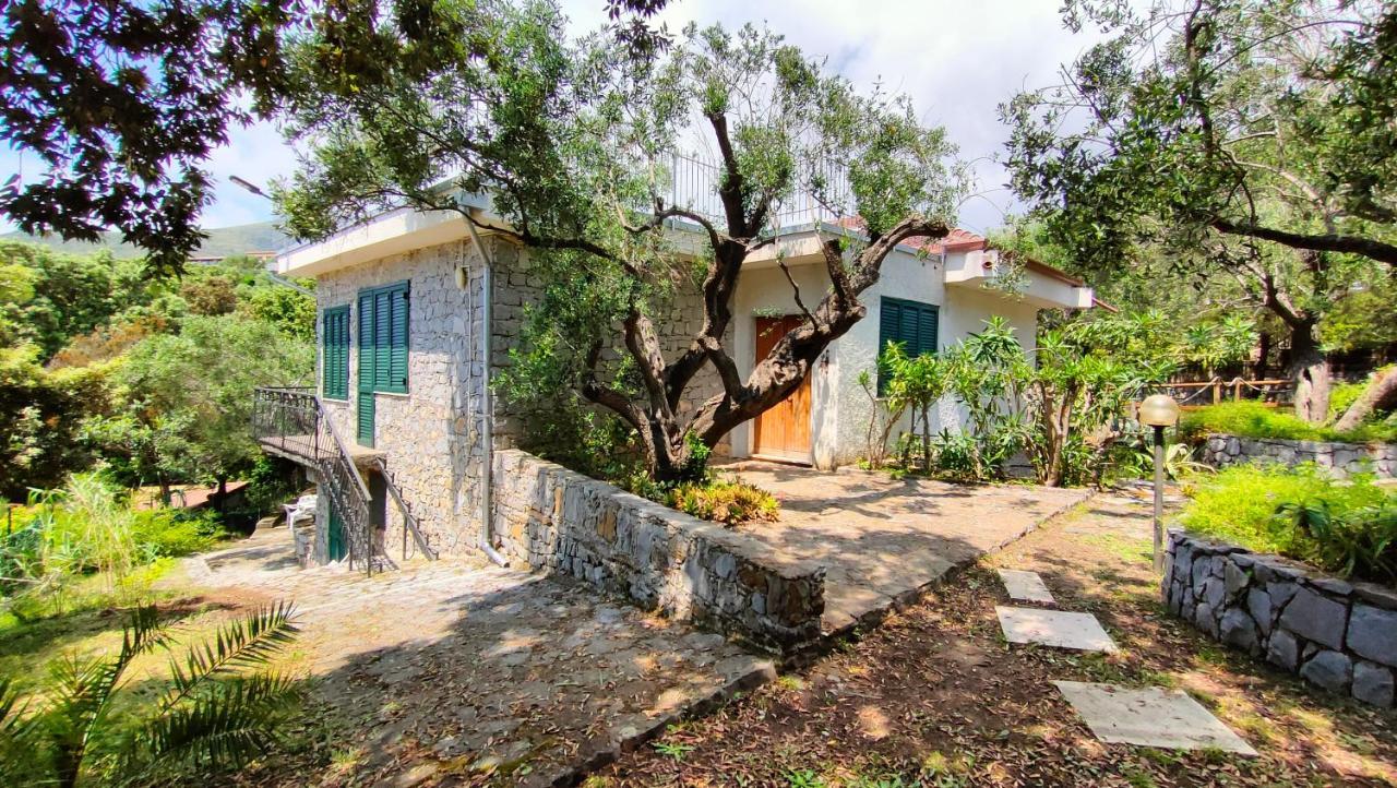 Villa Irma Marina di Camerota Esterno foto