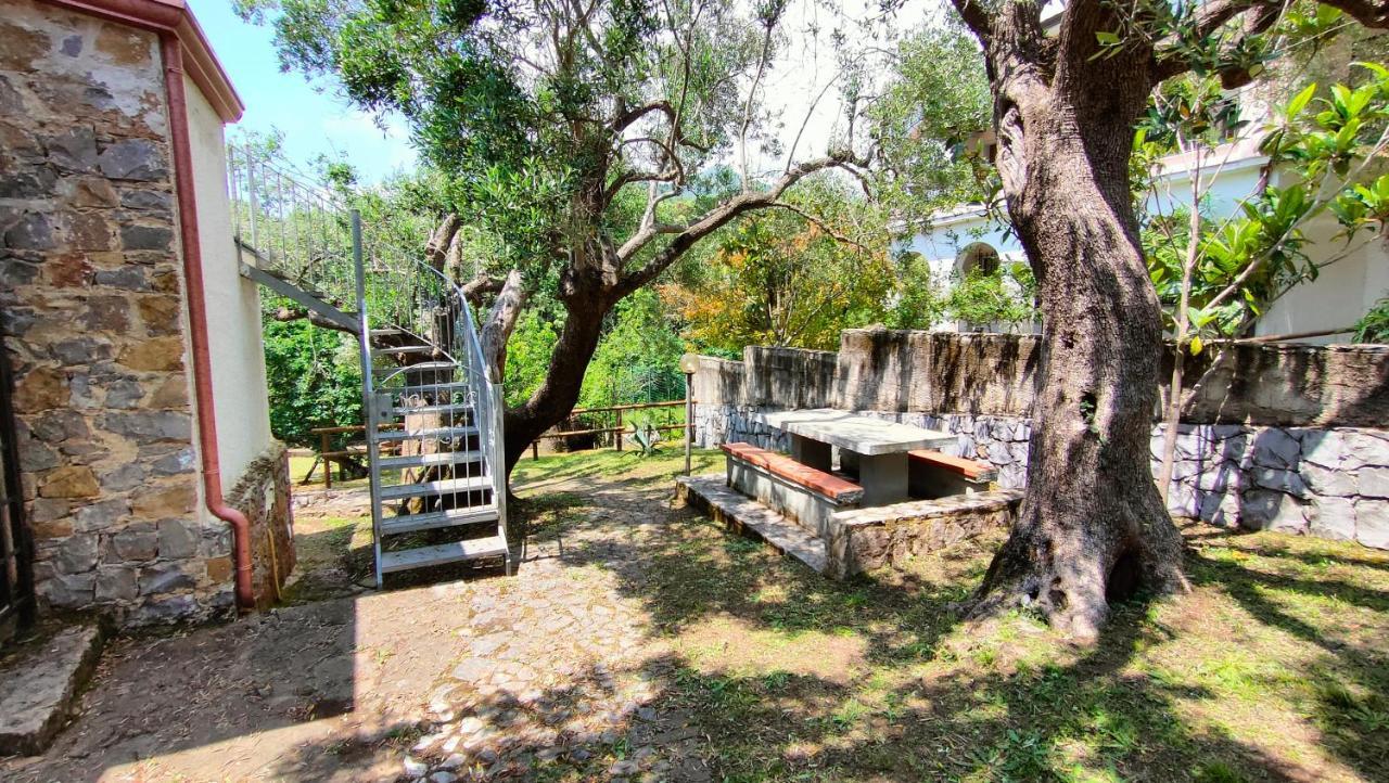 Villa Irma Marina di Camerota Esterno foto