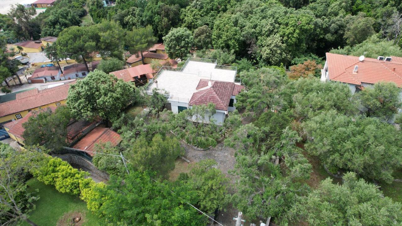 Villa Irma Marina di Camerota Esterno foto